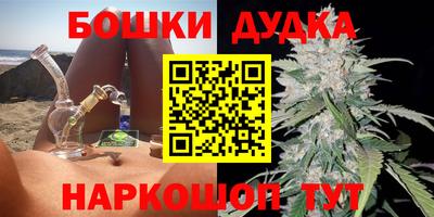 крисы Будённовск