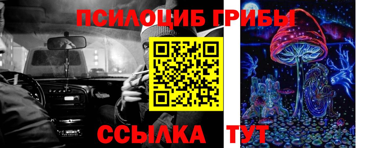 Псилоцибиновые грибы Cubensis  Вход с VPN  Феодосия  Псилоцибиновые грибы мицелий 